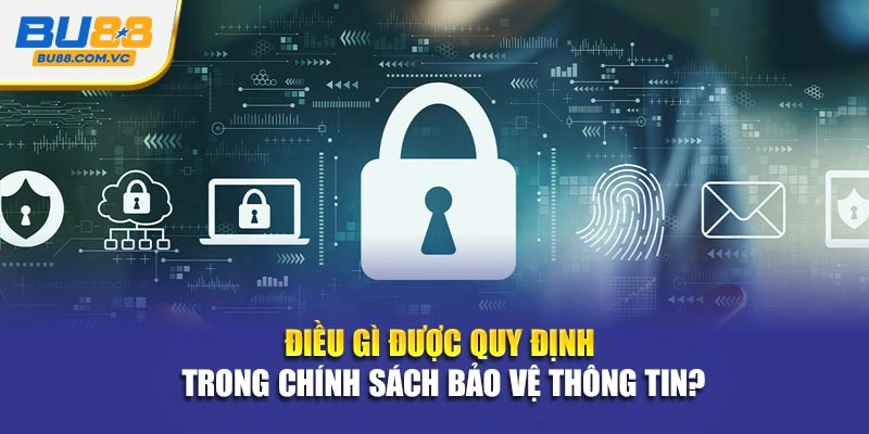Điều gì được quy định trong chính sách bảo vệ thông tin?