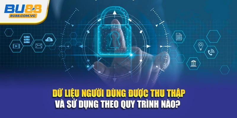 Dữ liệu người dùng được thu thập và sử dụng theo quy trình nào