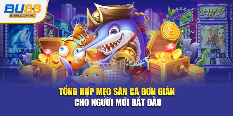Tổng hợp mẹo săn cá đơn giản cho người mới bắt đầu